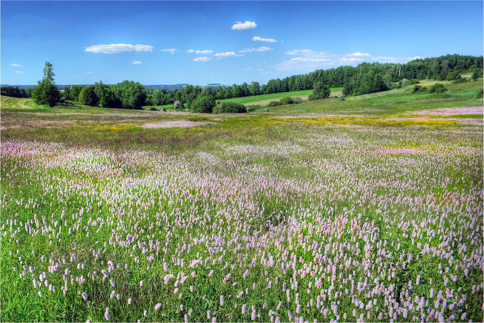 Landschaft Fichtelgebirge