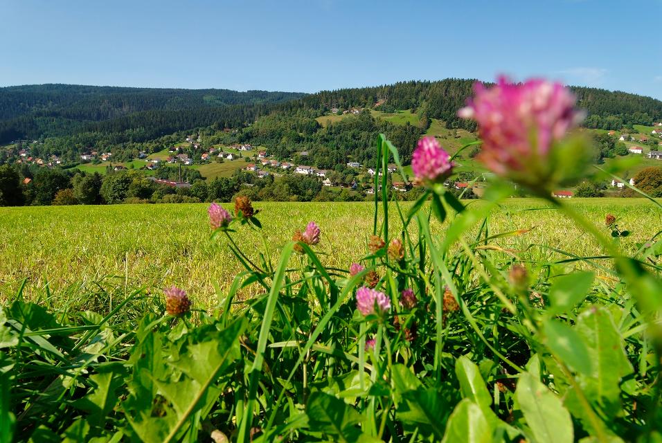 Blick auf Warmensteinach