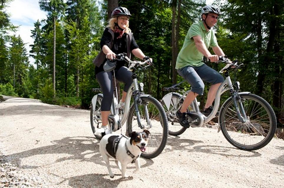 E-Biker mit Hund