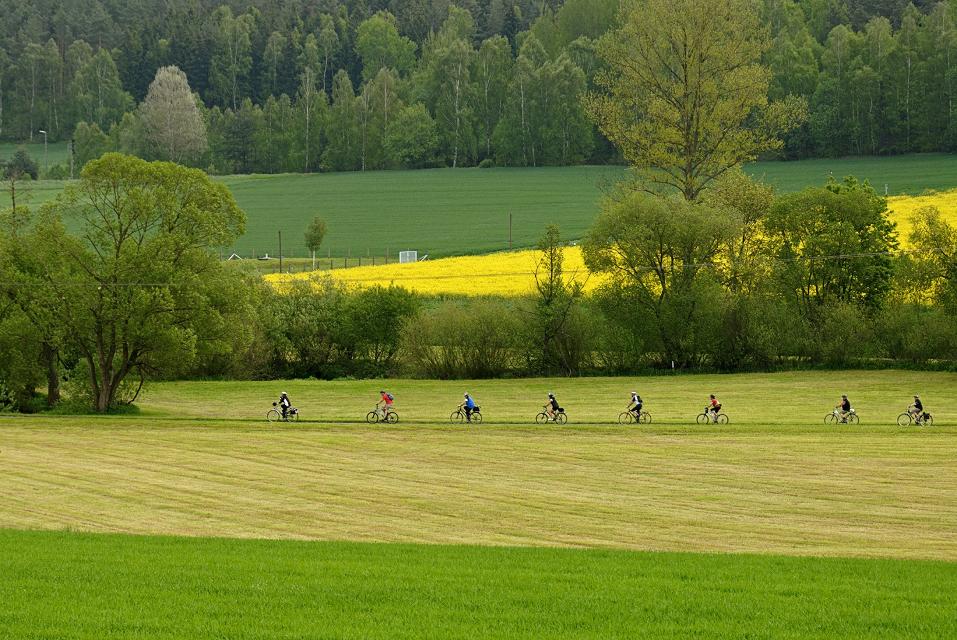 Radweg im Fichtelgebirge