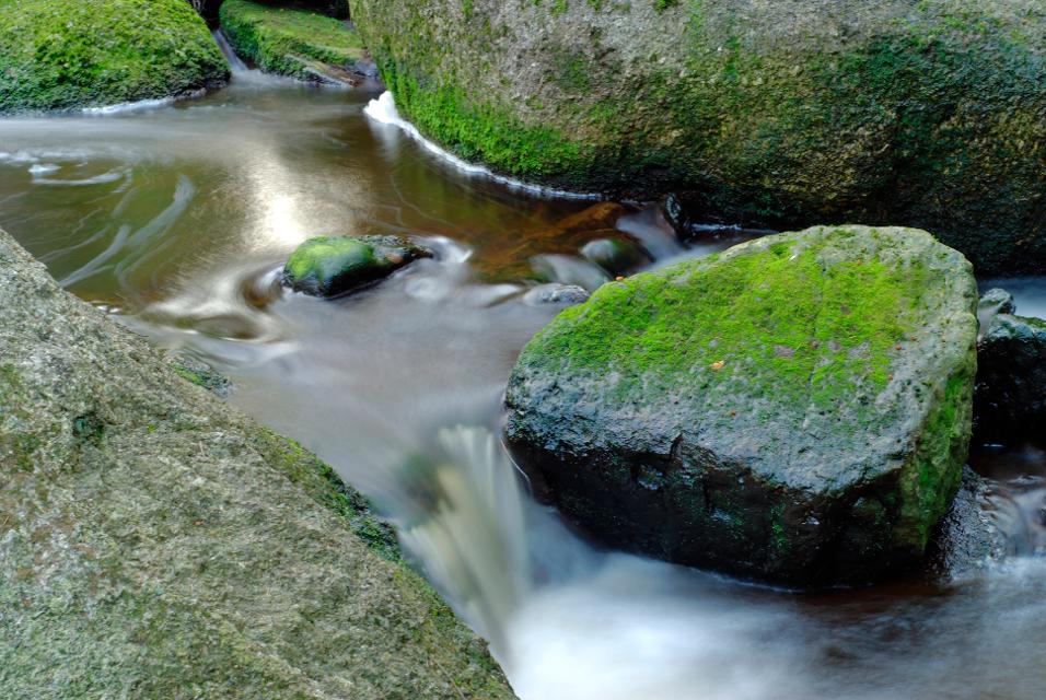 Natur pur im Fichtelgebirge