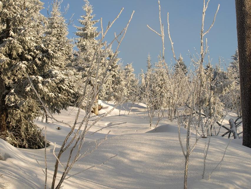 Winterlandschaft auf dem Ochsenkopf
