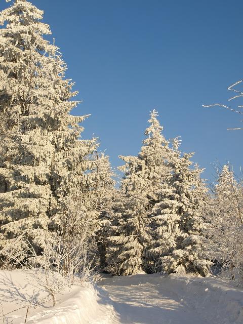 Winterlandschaft auf dem Ochsenkopf