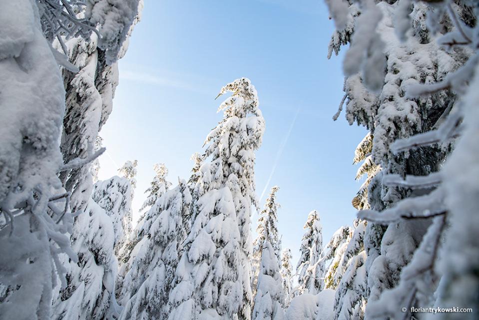 Winter im Fichtelgebirge