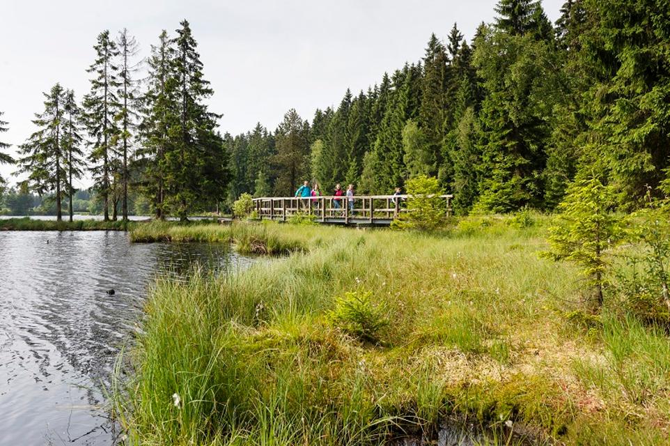 Glaswanderweg Fichtelsee