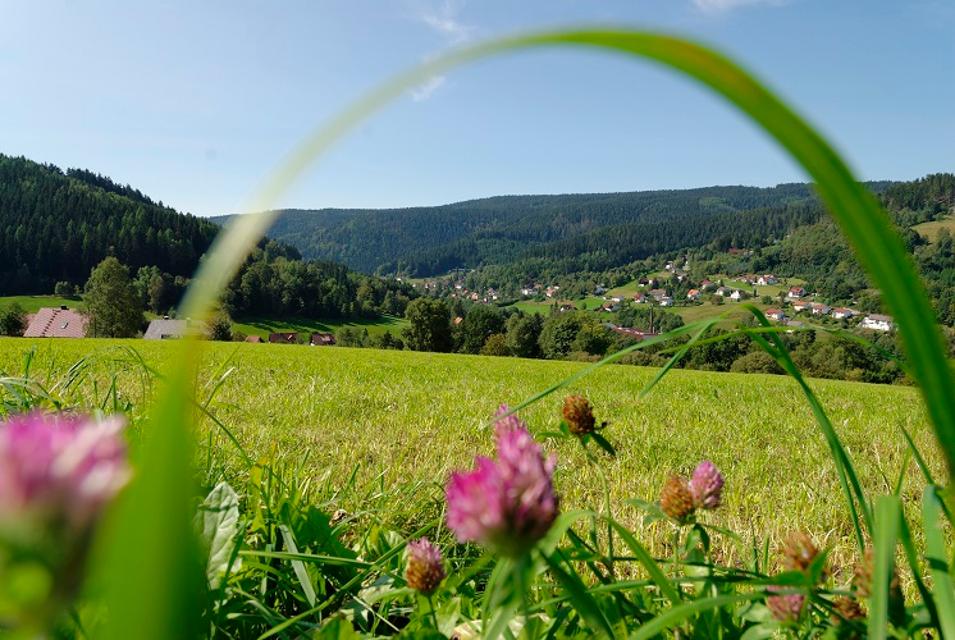 Warmensteinach im Fichtelgebirge