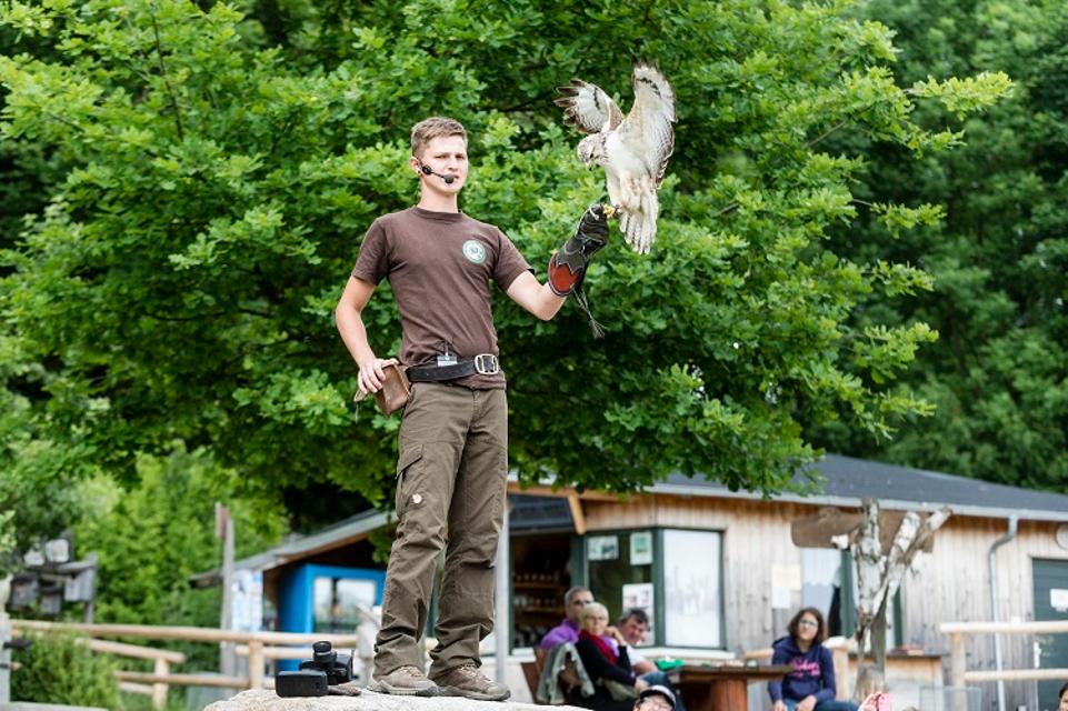 Wunsiedel - Greifvogelpark