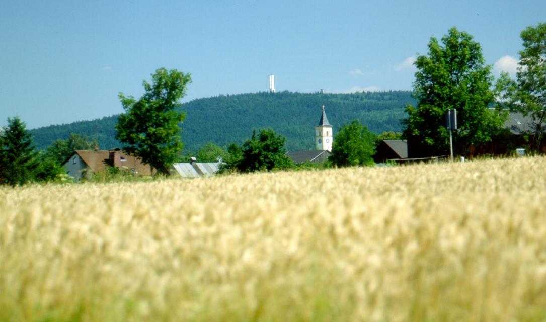 Blick zum Kornberg