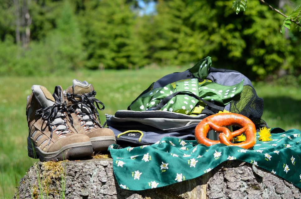 Wanderschuhe Blumenwiese Sommer 