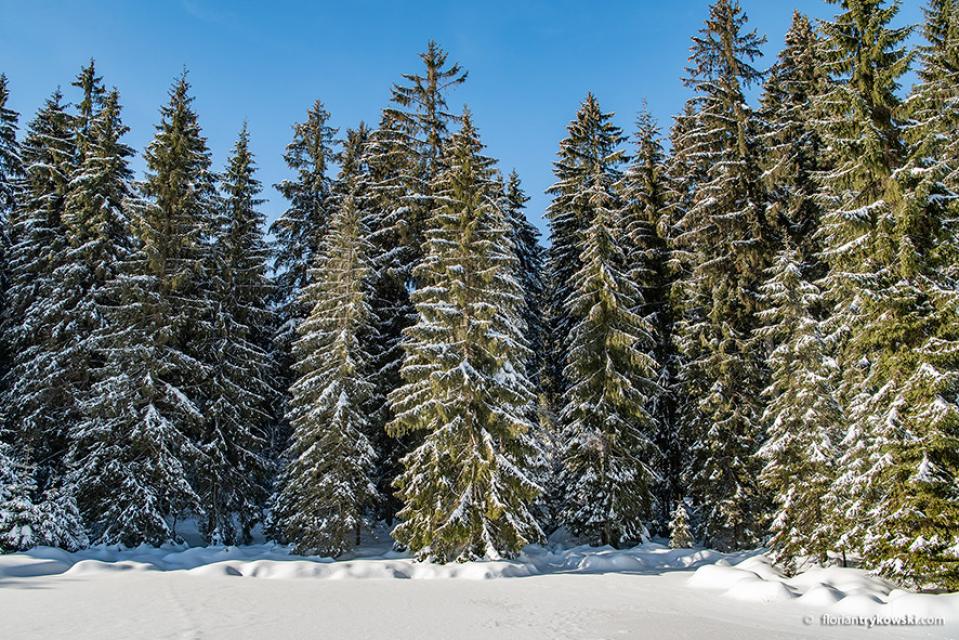 Winter im Fichtelgebirge