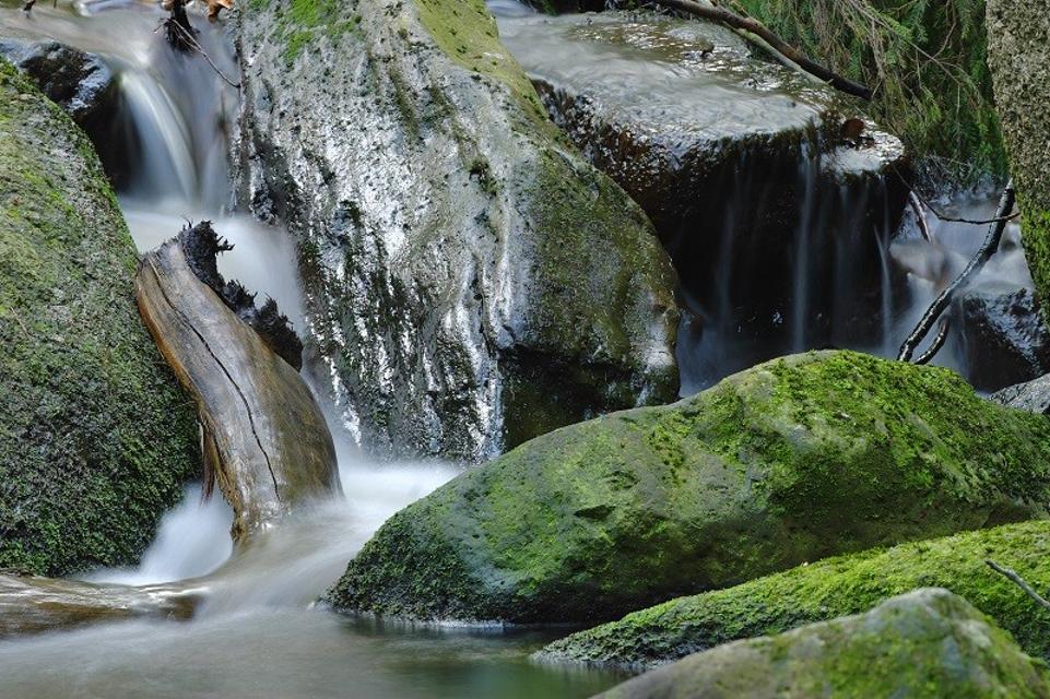 Naturparadies Fichtelgebirge