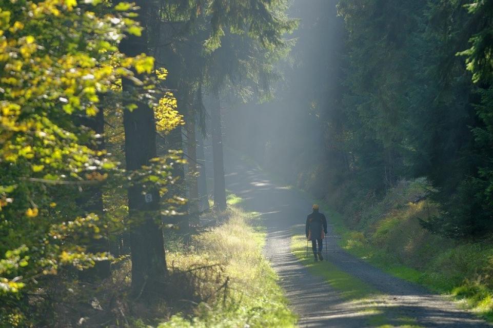 Nordic-Walking im Fichtelgebirge