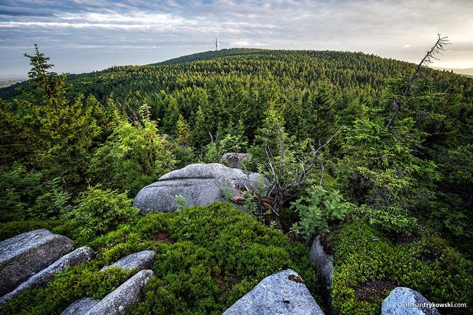 Panoramablick vom Ochsenkopf