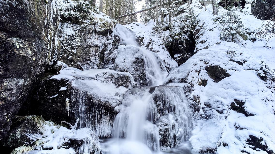 Ski- + Schneeschuhtour Rißloch
