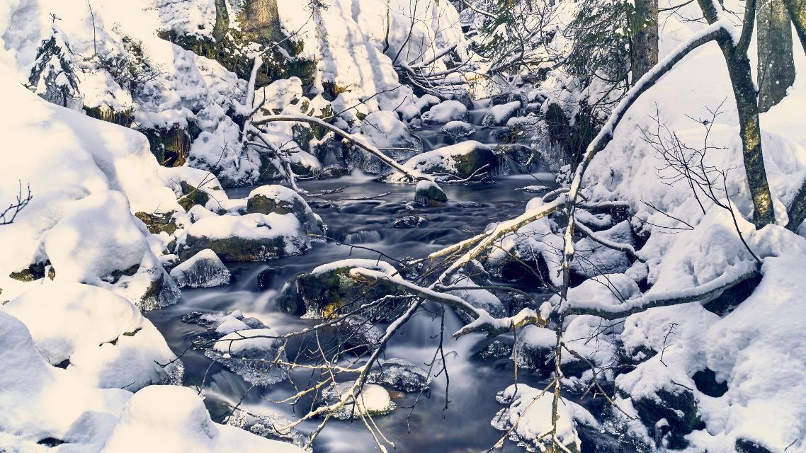 Ski- + Schneeschuhtour Rißloch