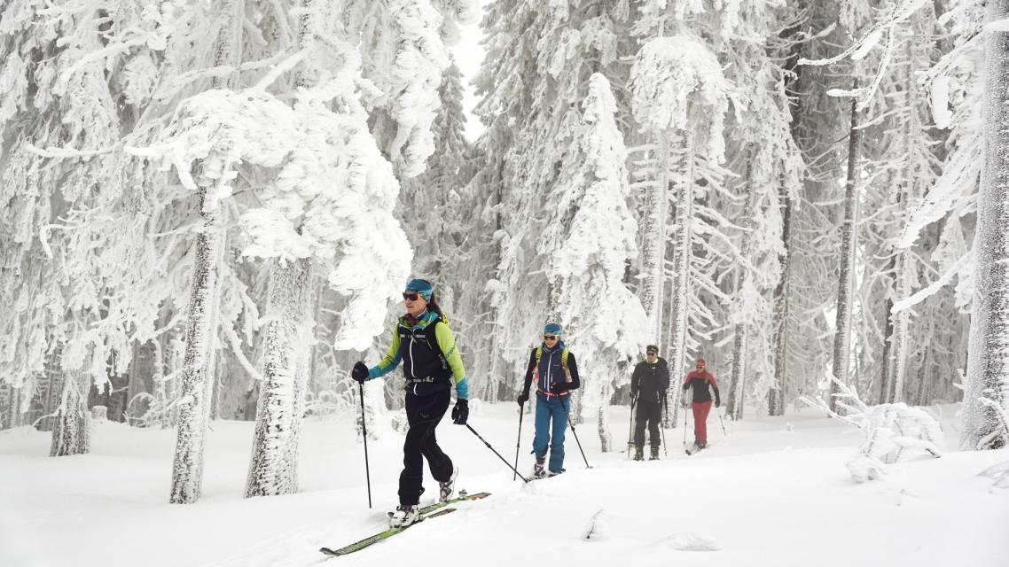 Ski- + Schneeschuhtour