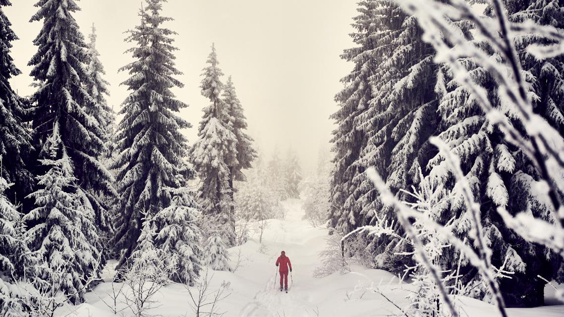 Ski- + Schneeschuhtour