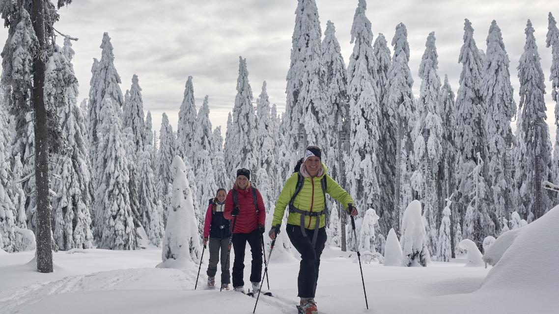 Ski- + Schneeschuhtourtag in Bodenmais