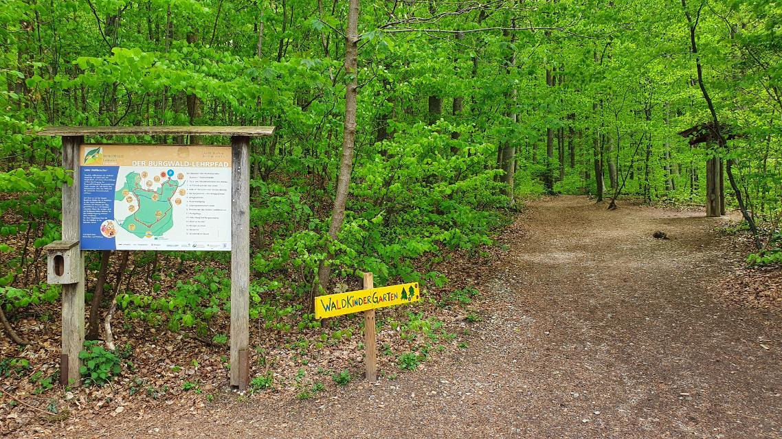 Burgwald Lehrpfad