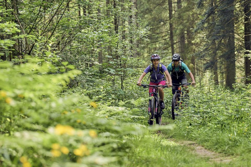 Traumpfade am Rothbach entlang