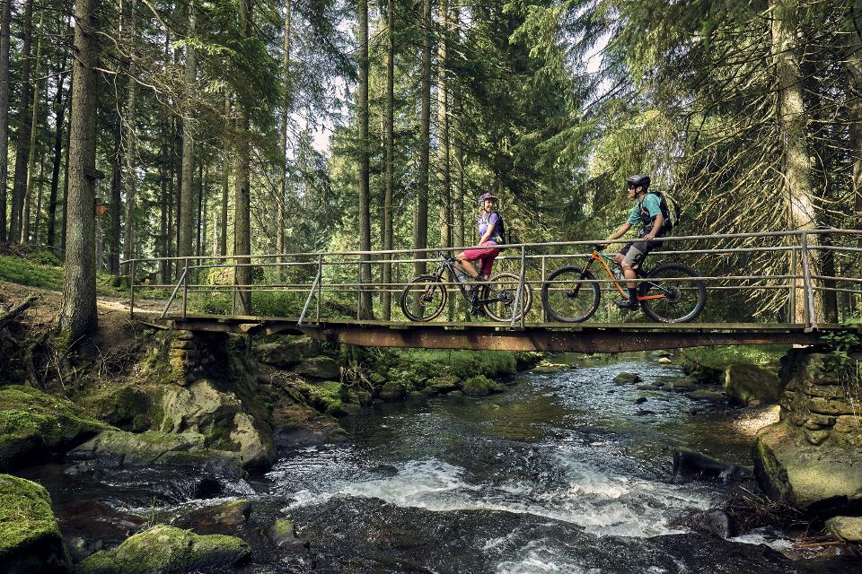 Brücke über den Rothbach