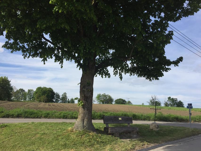 Bank mit Blick zum Burgwald