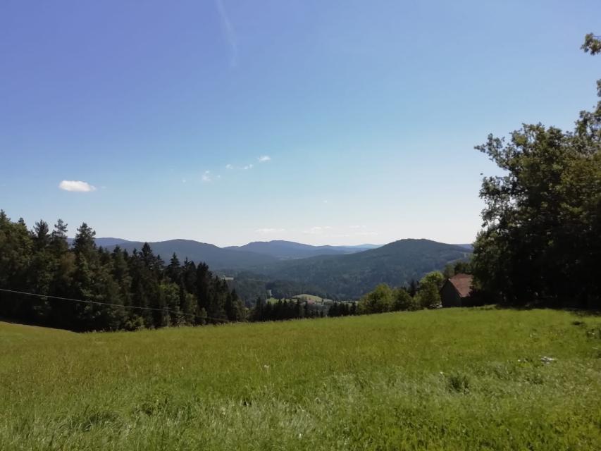 Ausblick vom Bierfernwanderweg Bier-Ge(h)nuss im ARBERLAND