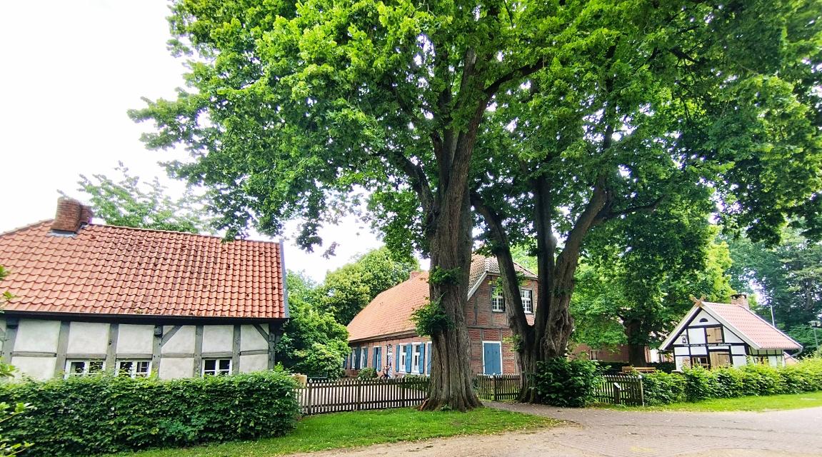 Areal Altes Pfarrhaus Schapen