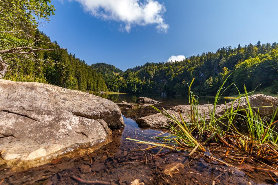 Taubensee