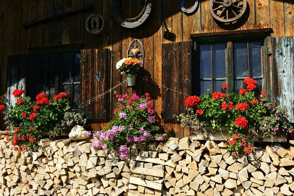 Blumen und Deko auf der Hutzenalm