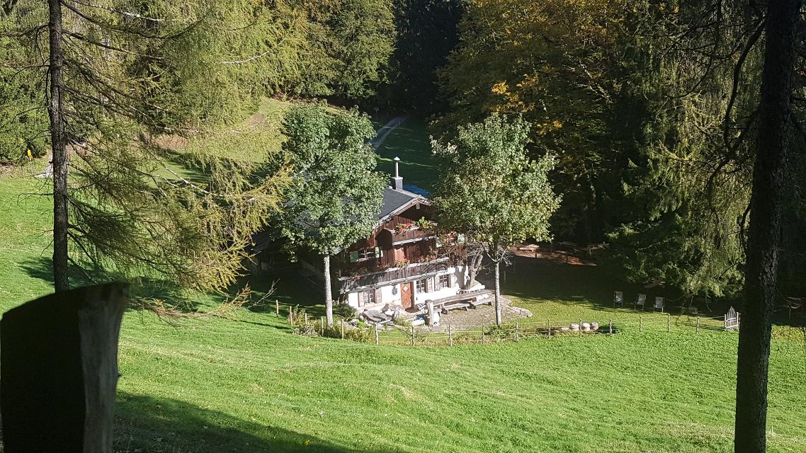 Glapfalm