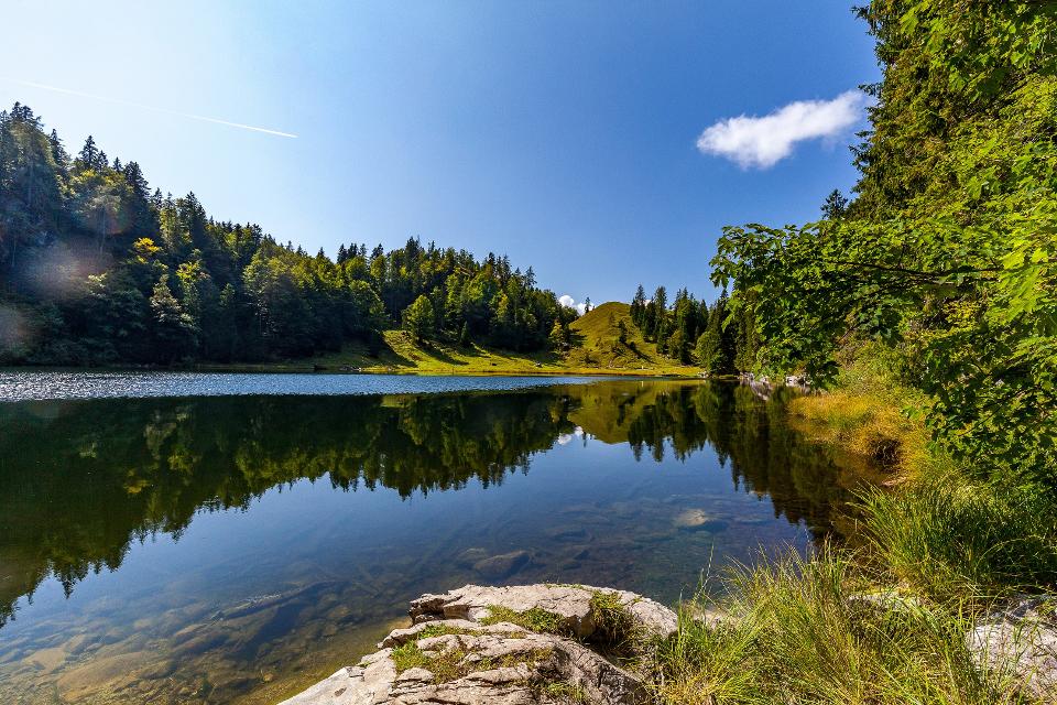 Taubensee