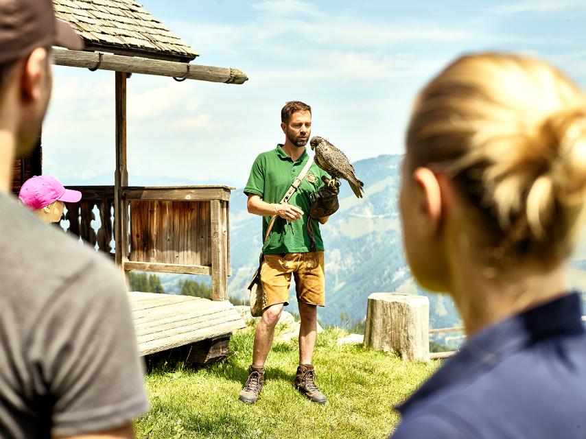 Greifvogelschau auf der Rauriser Hochalm