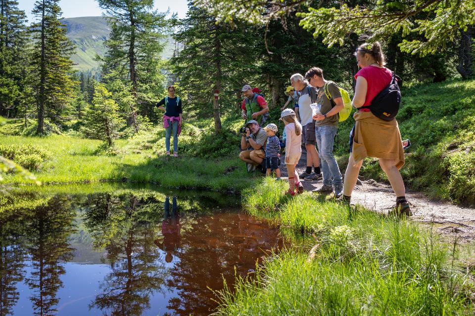 Familienwanderung im Rauriser Urwald in Kolm Saigurn