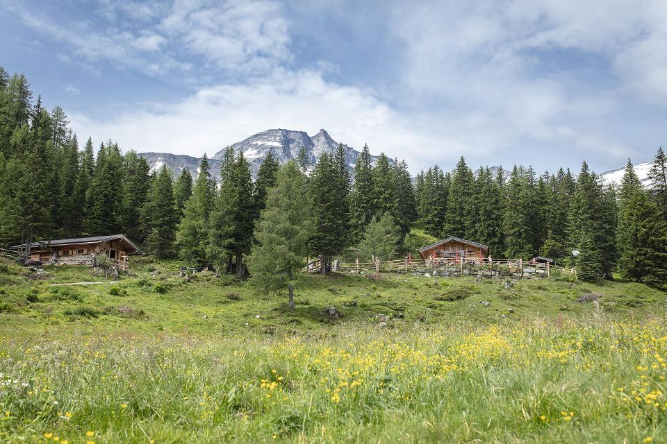 Blick au die Gainschniggalm