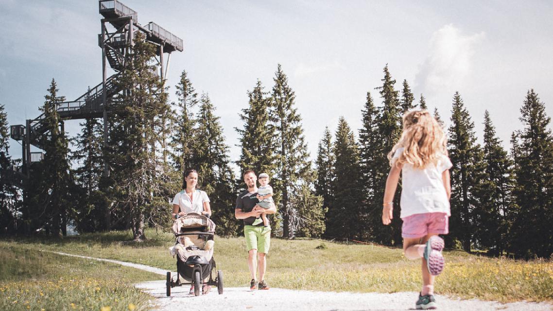 Aussichtsplattformen über den Bäumen in Ratschings-Jaufen