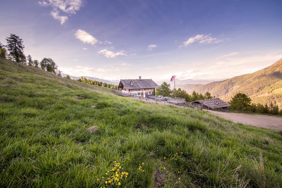 Alm Gampen im Ultental