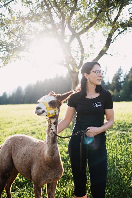 Strillinger Alpakas in der Region Hohe Salve