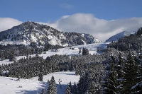 Blick auf den Sonthofer Hof
