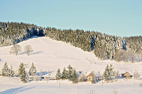 Skilift Fischbach in Schluchsee