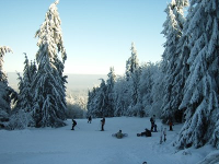 Piste am Großen Kornberg
