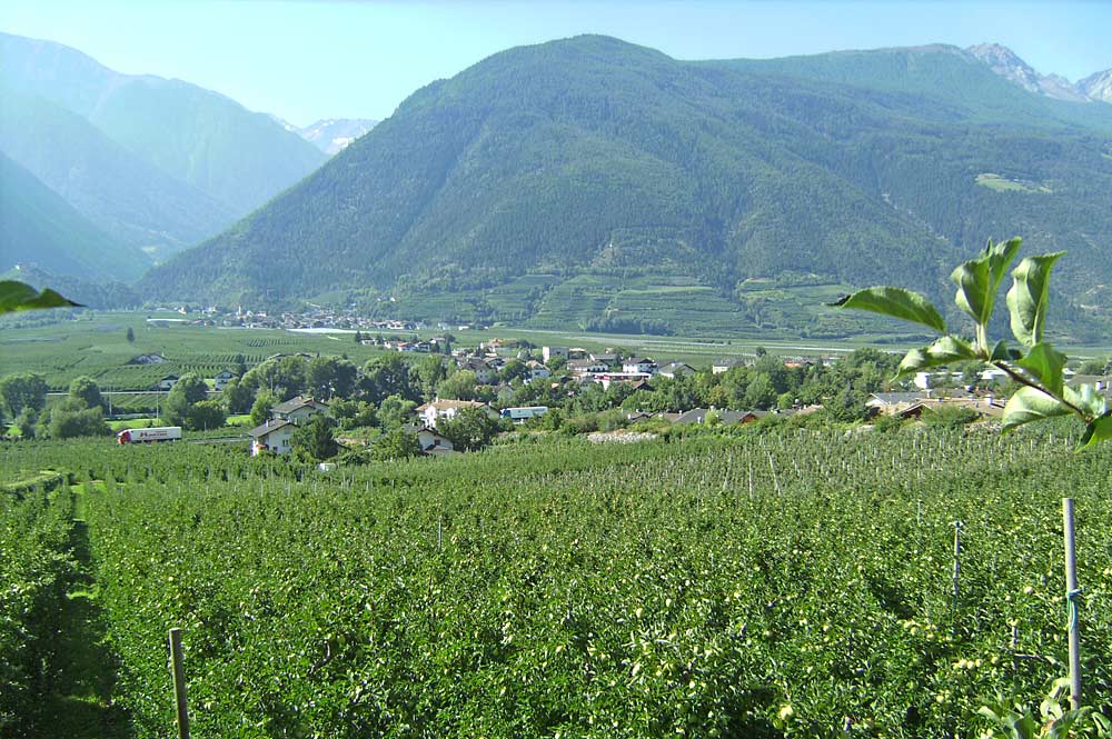 Urlaub Goldrain Aktuelle Informationen für Ihren Urlaub Goldrain in