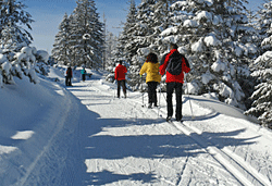 Gruppen-Langlauf Gruppen-Langlauf