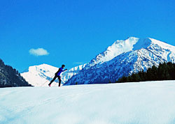 Langläufer in Oberstdorf Langläufer in Oberstdorf