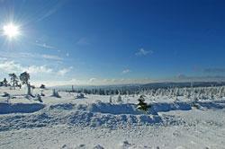 Winterlandschaft im Harz Winterlandschaft im Harz
