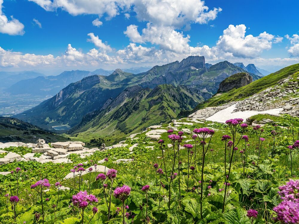 Die Alpen-Guide-Redaktion stellt sich vor