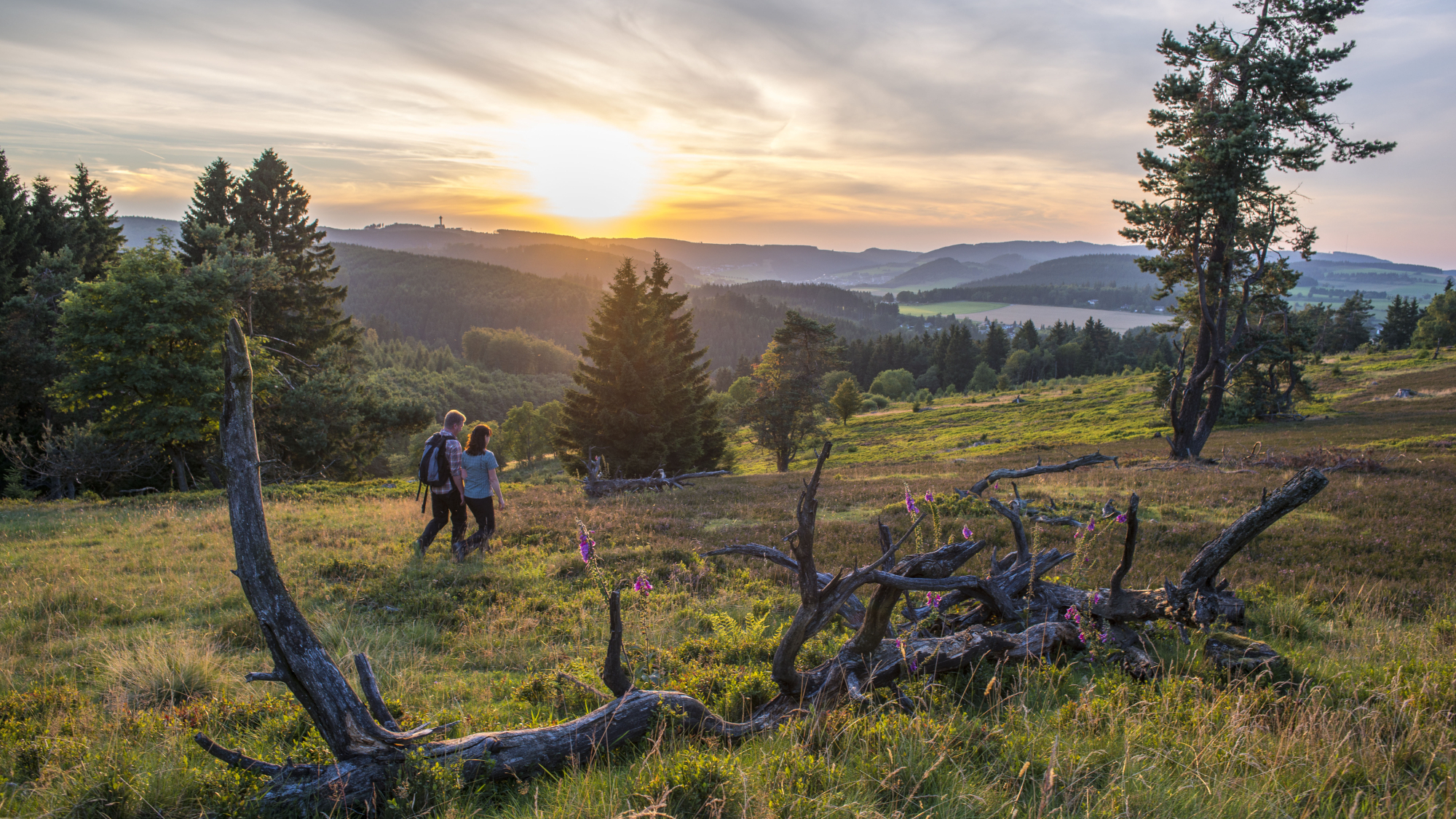 Wandererer in der Willinger Hochheide 