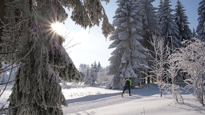 Artikelbild: Der Winter im Bayerischen Wald