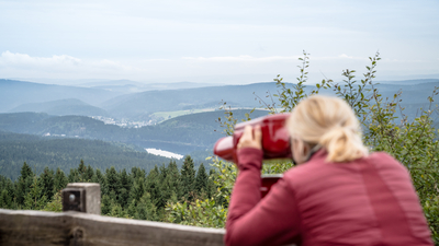 Artikelvorschaubild