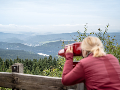 Wandern im Erzgebirge: Kammweg